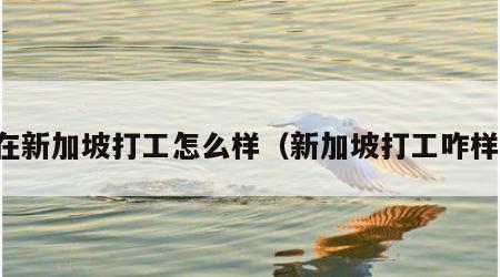 在新加坡打工怎么样（新加坡打工咋样）