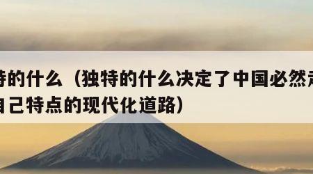 独特的什么（独特的什么决定了中国必然走适合自己特点的现代化道路）