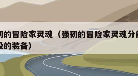 强韧的冒险家灵魂（强韧的冒险家灵魂分解多少级的装备）