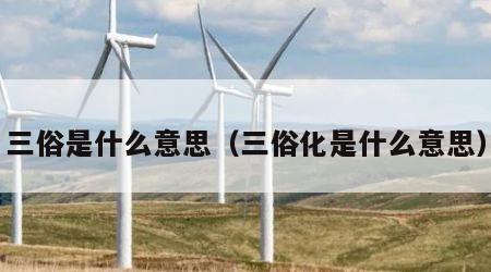 三俗是什么意思（三俗化是什么意思）