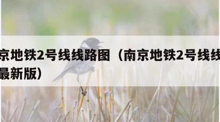 南京地铁2号线线路图（南京地铁2号线线路图最新版）