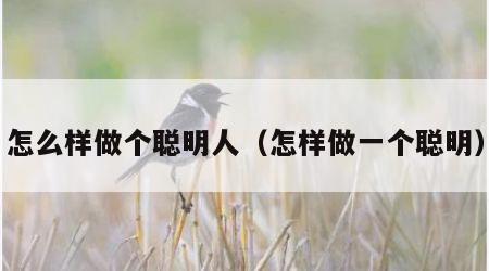 怎么样做个聪明人（怎样做一个聪明）