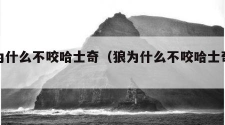 狼为什么不咬哈士奇（狼为什么不咬哈士奇视频）