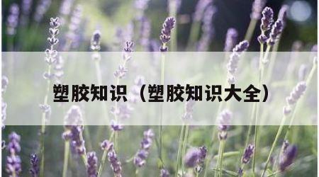 塑胶知识（塑胶知识大全）