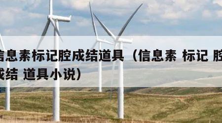 信息素标记腔成结道具（信息素 标记 腔 成结 道具小说）