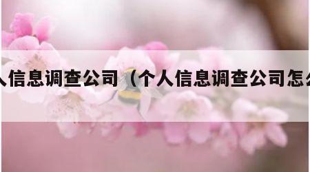 个人信息调查公司（个人信息调查公司怎么查）