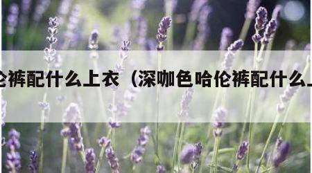 哈伦裤配什么上衣（深咖色哈伦裤配什么上衣）
