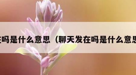 在吗是什么意思（聊天发在吗是什么意思）