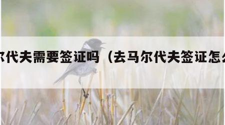 马尔代夫需要签证吗（去马尔代夫签证怎么办）