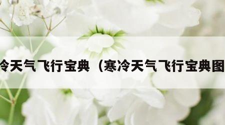寒冷天气飞行宝典（寒冷天气飞行宝典图片）