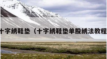 十字绣鞋垫（十字绣鞋垫单股绣法教程）
