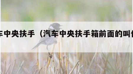 汽车中央扶手（汽车中央扶手箱前面的叫什么）