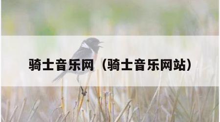 骑士音乐网（骑士音乐网站）