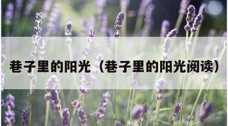 巷子里的阳光（巷子里的阳光阅读）