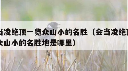 会当凌绝顶一览众山小的名胜（会当凌绝顶一览众山小的名胜地是哪里）