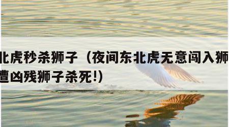 东北虎秒杀狮子（夜间东北虎无意闯入狮圈,惨遭凶残狮子杀死!）