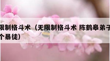 无限制格斗术（无限制格斗术 陈鹤皋弟子打三个暴徒）