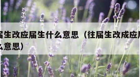 往届生改应届生什么意思（往届生改成应届生什么意思）