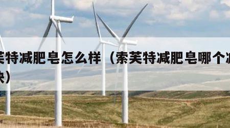索芙特减肥皂怎么样（索芙特减肥皂哪个减肥最快）