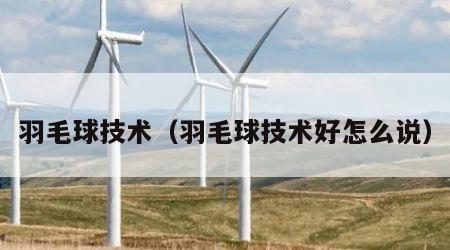 羽毛球技术（羽毛球技术好怎么说）