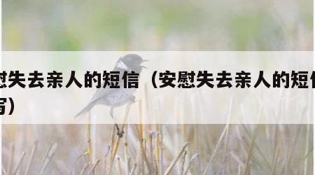安慰失去亲人的短信（安慰失去亲人的短信怎么写）