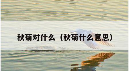 秋菊对什么（秋菊什么意思）