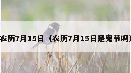农历7月15日（农历7月15日是鬼节吗）