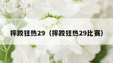摔跤狂热29（摔跤狂热29比赛）