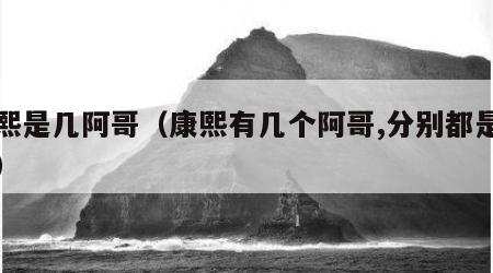 康熙是几阿哥（康熙有几个阿哥,分别都是谁的）