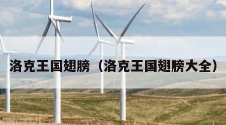 洛克王国翅膀（洛克王国翅膀大全）