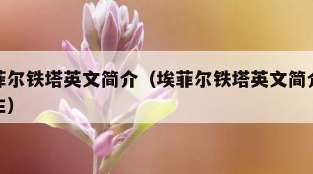埃菲尔铁塔英文简介（埃菲尔铁塔英文简介小学生）