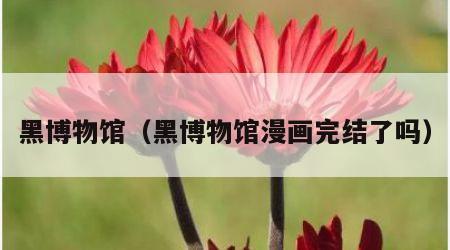 黑博物馆（黑博物馆漫画完结了吗）