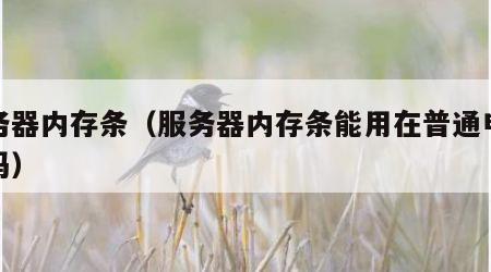 服务器内存条（服务器内存条能用在普通电脑上吗）