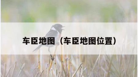 车臣地图（车臣地图位置）