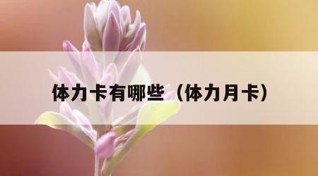体力卡有哪些（体力月卡）