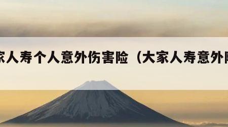 大家人寿个人意外伤害险（大家人寿意外险咋赔）