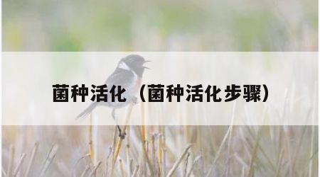 菌种活化（菌种活化步骤）