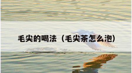 毛尖的喝法（毛尖茶怎么泡）