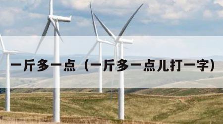 一斤多一点（一斤多一点儿打一字）