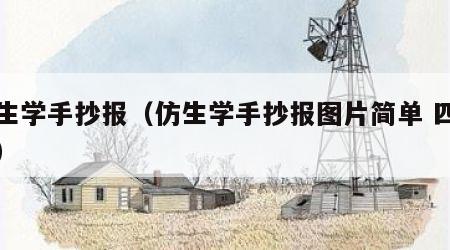 仿生学手抄报（仿生学手抄报图片简单 四年级）