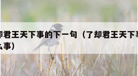 了却君王天下事的下一句（了却君王天下事指什么事）