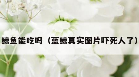 鲸鱼能吃吗（蓝鲸真实图片吓死人了）