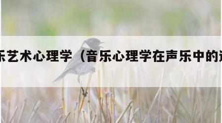 声乐艺术心理学（音乐心理学在声乐中的运用）