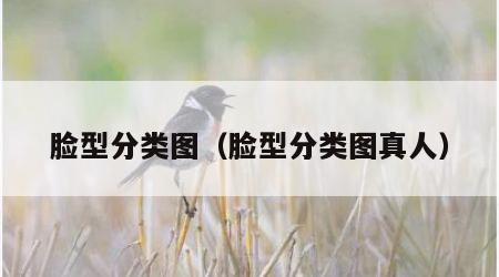 脸型分类图（脸型分类图真人）