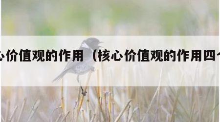 核心价值观的作用（核心价值观的作用四个方面）