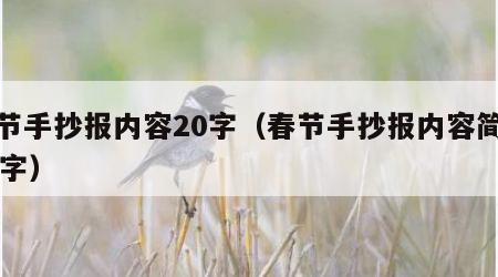 春节手抄报内容20字（春节手抄报内容简短30字）