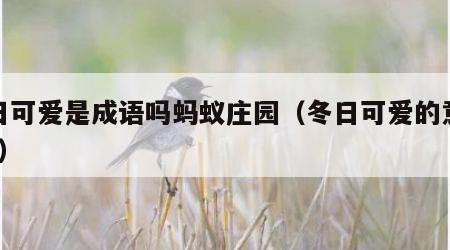冬日可爱是成语吗蚂蚁庄园（冬日可爱的意思是?）