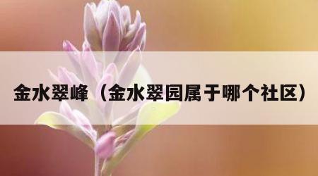 金水翠峰（金水翠园属于哪个社区）