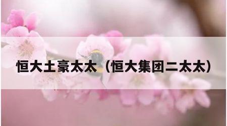 恒大土豪太太（恒大集团二太太）