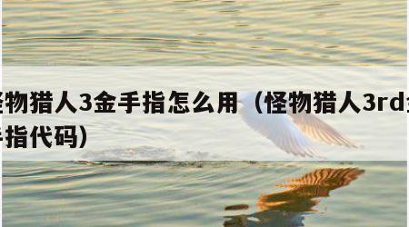 怪物猎人3金手指怎么用（怪物猎人3rd金手指代码）